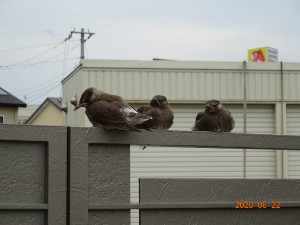 別所動物病院