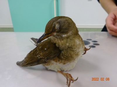 別所動物病院