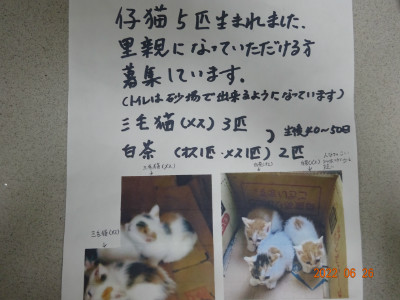 別所動物病院