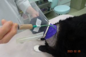 別所動物病院