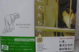 別所動物病院