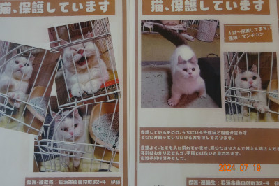 別所動物病院