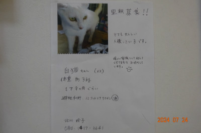 別所動物病院