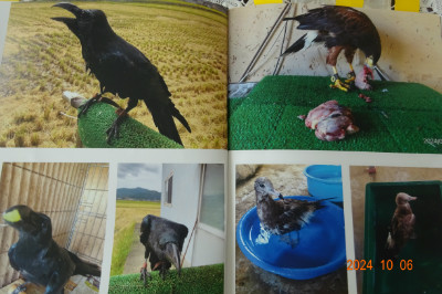 別所動物病院