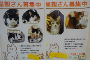 別所動物病院