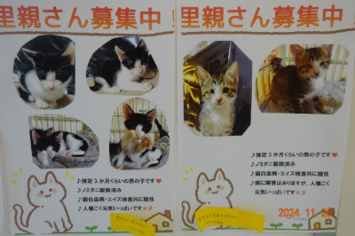 別所動物病院
