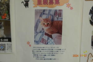 別所動物病院