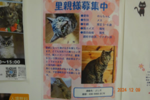 別所動物病院