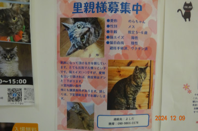 別所動物病院