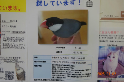 別所動物病院