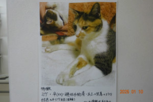 別所動物病院