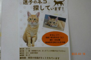 別所動物病院