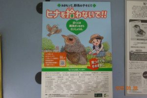 別所動物病院