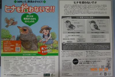 別所動物病院