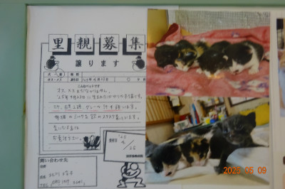 別所動物病院