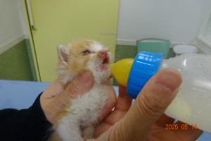 別所動物病院