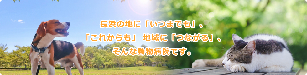 長浜の地に「いつまでも」、「これからも」 地域に「つながる」、そんな動物病院です。