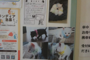 別所動物病院