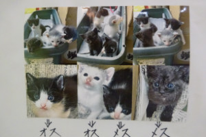 別所動物病院