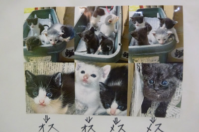 別所動物病院