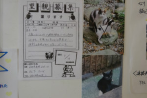 別所動物病院