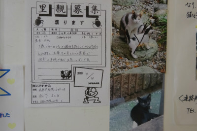 別所動物病院